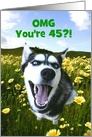 Cute Happy 45th Birthday Customizable Husky card