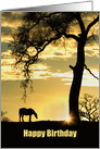 Horse and Oak Tree Happy Birthday Sunshine card