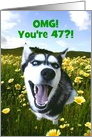 Happy 47th Birthday Smiling Cute Husky Dog Customizable card