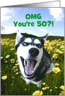 Cute and Humorous Husky Dog Custom Happy 50th Birthday card