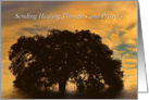 Metaphysical Get Well,Holistic Healing with Oak Tree card