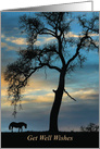 Get Well Horse and Oak Tree Nature card