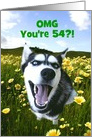 Cute Husky Happy 54th Funny Birthday Customizable card