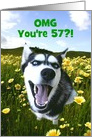 Husky and Flowers Happy 57th Birthday Customizable card