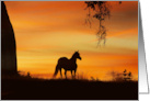 Thinking of You Horse Oak Tree and Southwestern Sunrise card