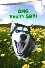 Cute Husky Happy 58th Birthday Custom Cover card