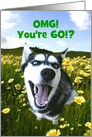 Cute Happy 60th You Look Good Dog in Flowers Customizeable card