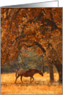 Pretty Autumn Greetings Horse and Oak Tree Beautiful Fall Foliage card