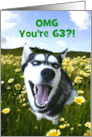Happy 63rd Birthday with Cute Husky Dog and Fun Message Custom Cover card