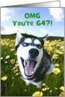 Happy 64th Birthday Cute Husky Funny Message Customizable card