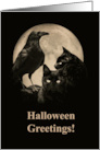 Black Cats and Raven General Halloween Greetings card