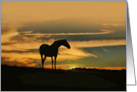 Horse in the Sunrise Thinking of You Nature card