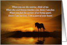 Sympathy Spiritual Loss of Horse Memorial Tribute card