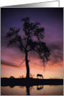 Horse in Sunrise Thinking of You card