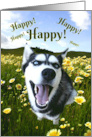 Thank You Happy Siberian Husky Flowers card