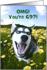 Cute Custom Cover Happy 69th Birthday With Smiling Husky Humor card