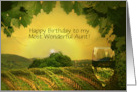 Aunt Happy Birthday Custom Cover with Wine and Vineyard card