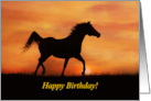 Happy Birthday Arabian Horse Trotting in Sunset Spirited card