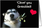 Cute Husky Dog Happy Father’s Day to Granddad card