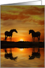 Horses and Water Sunrise Blank card