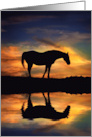 Horse In Southwestern Sunset and Pond of Water Blank card