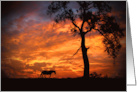 Horse Encouragement Hang In There Sunset and Oak Tree card