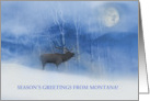 Season’s Greeting from Montana Elk Snow Birch Trees Moon Custom Text card