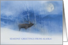 Alaska Holiday Seasons Greetings with Elk and Moon Custom Front card