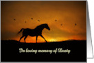 Horse Sympathy with Custom Name Spiritual Loss of Horse card