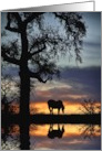 Horse Blank Note Pretty Nature with Pond of Water and Reflection card