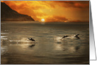 Dolphins in Ocean Sea Sunset Beautiful Coastal Blank Any Occasion card