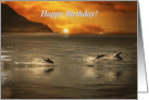 Dolphins in the Sea Beautiful Ocean Coastal Happy Birthday card