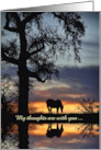 Sympathy Nature with Horse and Water Oak Tree Sunset Custom Text card