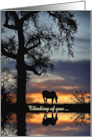 Encouragement Horse and Nature Hang In There Custom Text Cover card