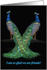 Friendship Two Peacocks Birds of a Feather Fun Glad we are Friends! card