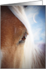 Horse and Crescent Moon Thinking of You card