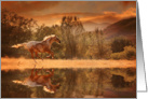 Horse Galloping Appaloosa in Back Country Blank Any Occasion card