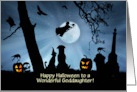 Goddaughter Cute Happy Halloween With Witch and Animals Customize card