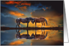 Hello Horses in the Sunset and Reflected in Water card