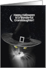 Granddaughter Halloween Custom Cute Cat with Witch Hat Stars and Moon card