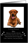 Remembrance Memorial Custom Photo For Dog Cat Pet Custom Name card