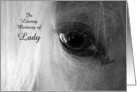 Horse Sympathy Custom Horse Name Beautiful Equine Close Up card