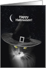 Halloween Cute Witch Kitten Cat with Witch Crescent Moon Stars Custom card