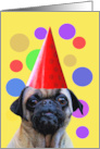 Birthday with Cute Pug Dog and Party Hat Happy Birthday card