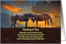 Thinking of You From Across the Miles Horses in Sunset Sweet Poem card