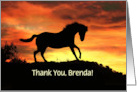 Thank You Prancing Horse in Sunset You Made My Day Custom Name card