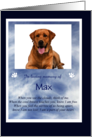 Sympathy for Loss of Dog Custom Picture and Text Tribute Memorial card