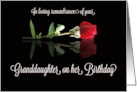 Granddaughter Remembrance on Birthday Tribute with Rose card