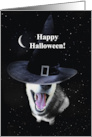 Halloween Cute Husky Dog Magical with Witch Hat and Moon Stars card