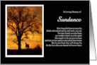 Horse Sympathy Memorial Tribute with Custom Name Sunset Oak Tree card
